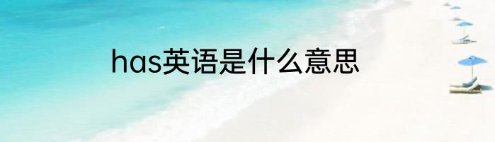 has英语是什么意思