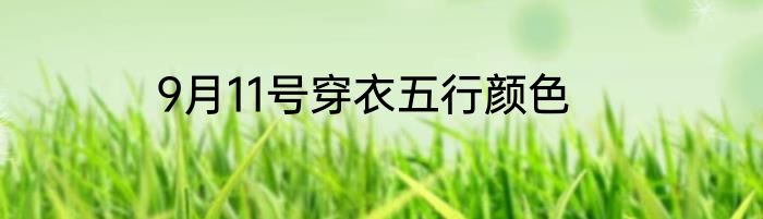9月11号穿衣五行颜色