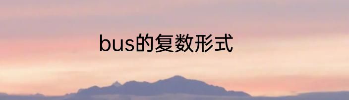 bus的复数形式