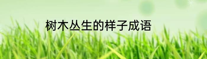 树木丛生的样子成语