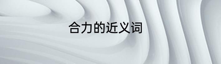 合力的近义词