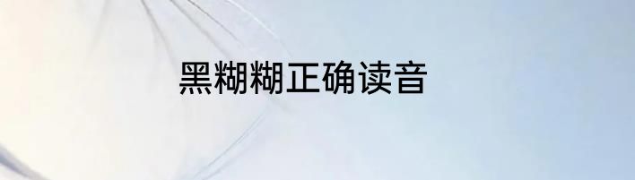 黑糊糊正确读音