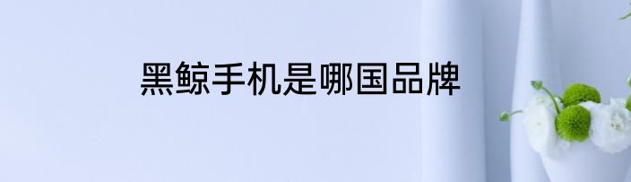 黑鲸手机是哪国品牌