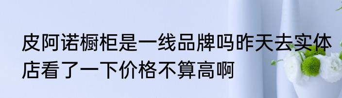 皮阿诺橱柜是一线品牌吗昨天去实体店看了一下价格不算高啊