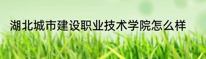 湖北城市建设职业技术学院怎么样