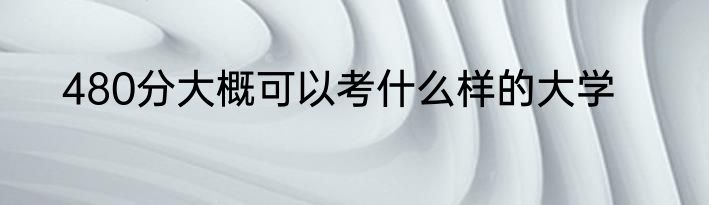 480分大概可以考什么样的大学
