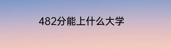482分能上什么大学