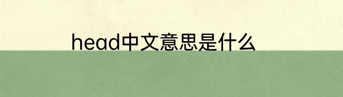 head中文意思是什么