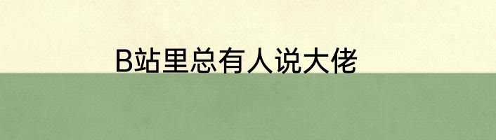 B站里总有人说大佬