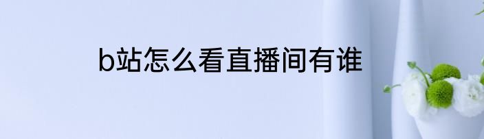 b站怎么看直播间有谁
