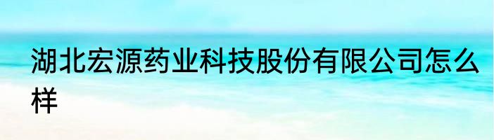 湖北宏源药业科技股份有限公司怎么样