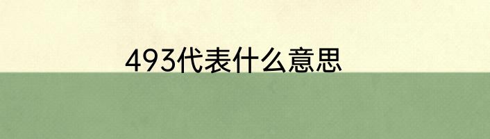 493代表什么意思