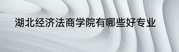 湖北经济法商学院有哪些好专业
