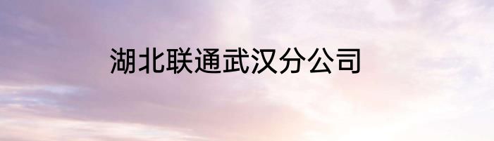 湖北联通武汉分公司