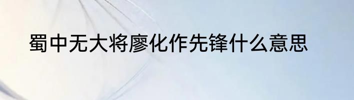 蜀中无大将廖化作先锋什么意思