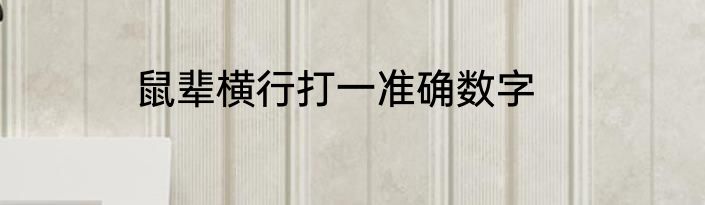 鼠辈横行打一准确数字