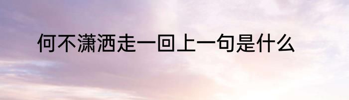 何不潇洒走一回上一句是什么