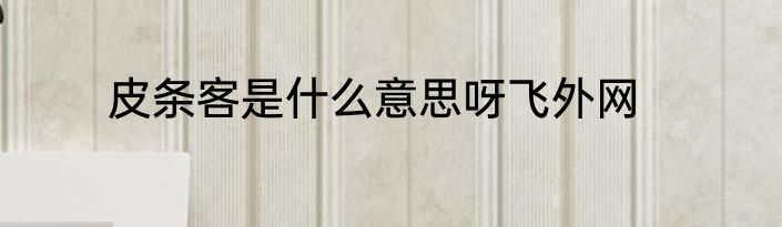 皮条客是什么意思呀飞外网