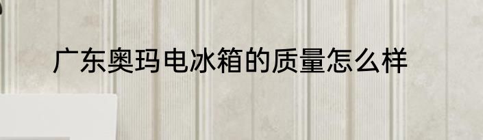 广东奥玛电冰箱的质量怎么样