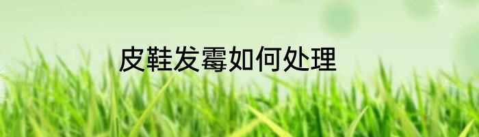 皮鞋发霉如何处理