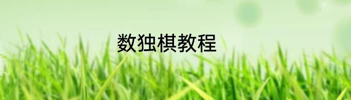 数独棋教程