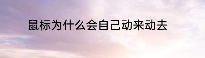 鼠标为什么会自己动来动去