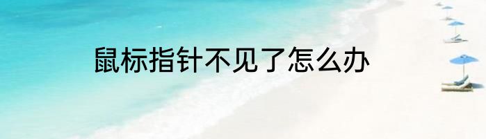 鼠标指针不见了怎么办