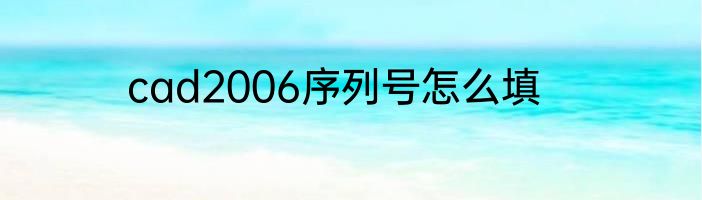 cad2006序列号怎么填