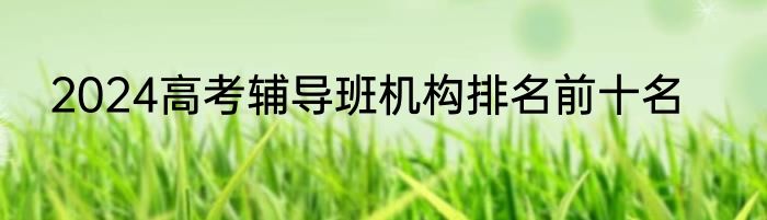 2024高考辅导班机构排名前十名