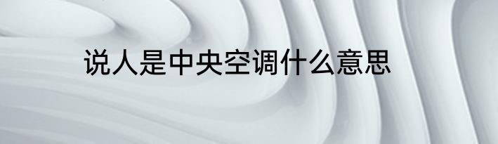 说人是中央空调什么意思