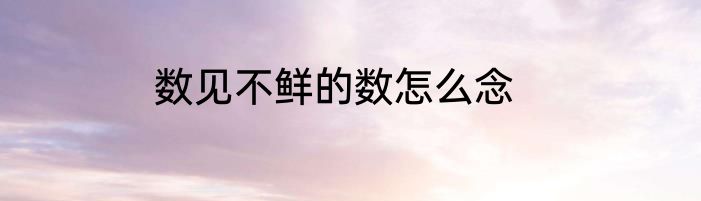 数见不鲜的数怎么念