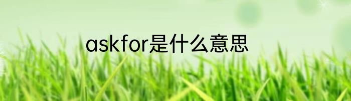 askfor是什么意思