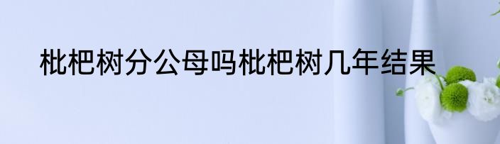 枇杷树分公母吗枇杷树几年结果