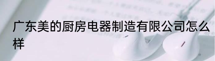 广东美的厨房电器制造有限公司怎么样