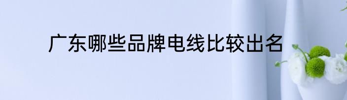 广东哪些品牌电线比较出名
