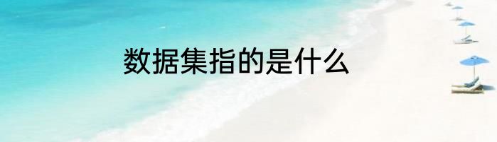 数据集指的是什么