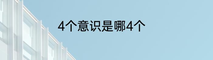 4个意识是哪4个