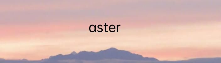 aster