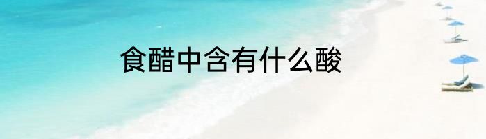 食醋中含有什么酸