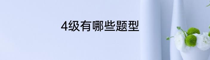 4级有哪些题型