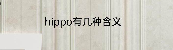 hippo有几种含义