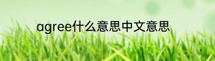 agree什么意思中文意思
