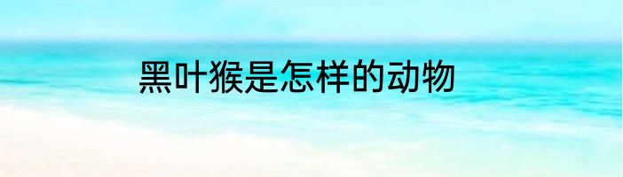 黑叶猴是怎样的动物