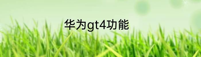 华为gt4功能