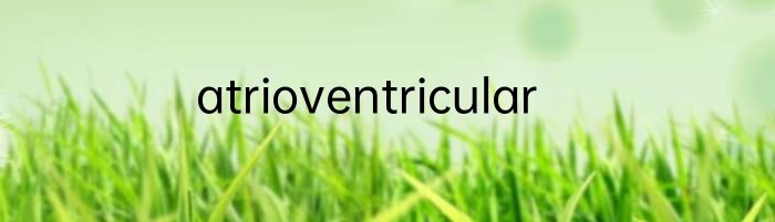 atrioventricular