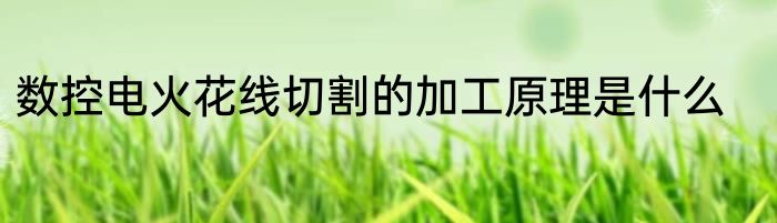 数控电火花线切割的加工原理是什么