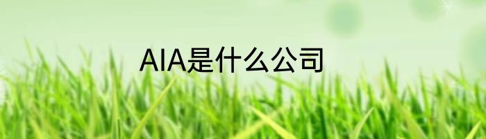 AIA是什么公司