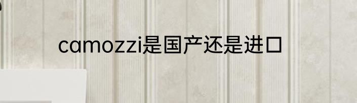 camozzi是国产还是进口