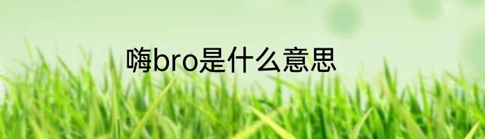 嗨bro是什么意思