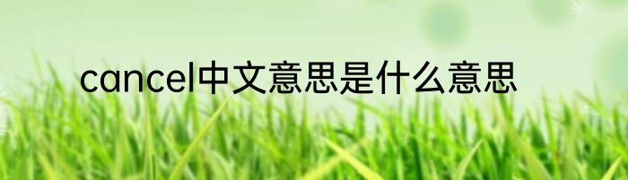 cancel中文意思是什么意思